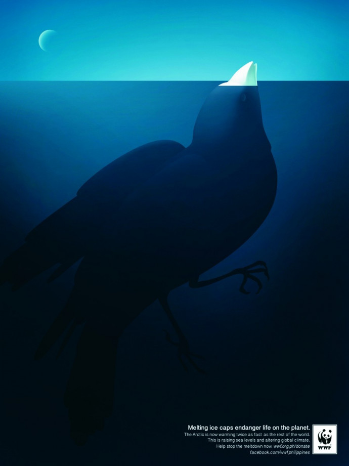 WWF: Iceberg Bird