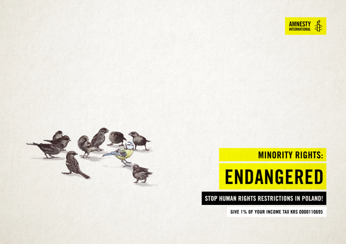 Amnesty International: Minority Rights