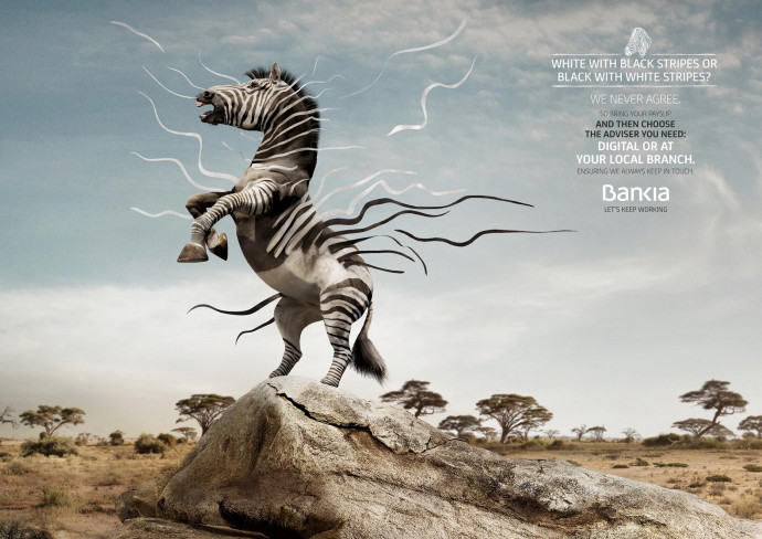 Bankia: Zebra