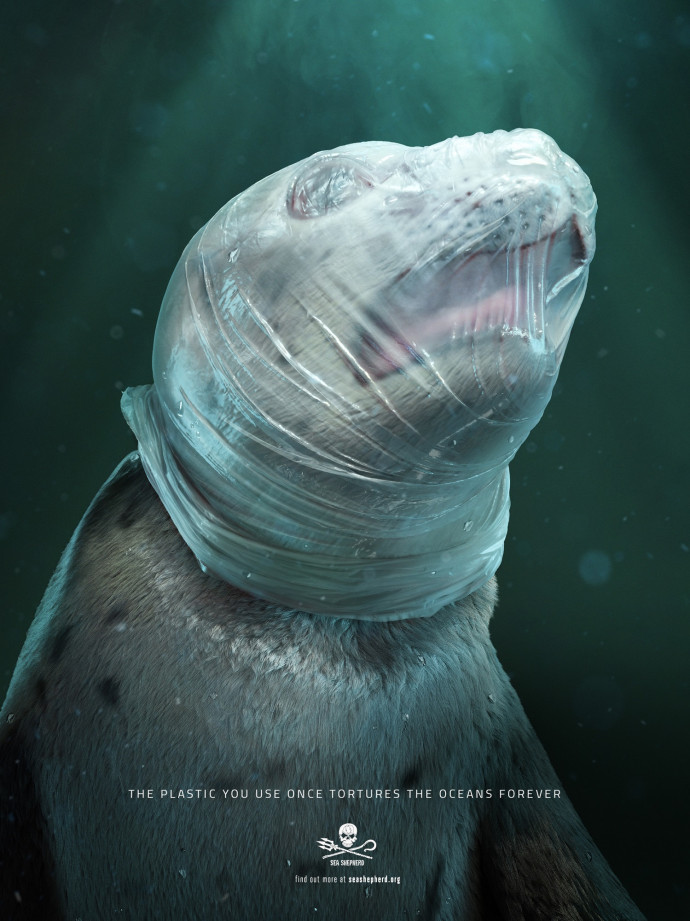Sea Shepherd: Seal
