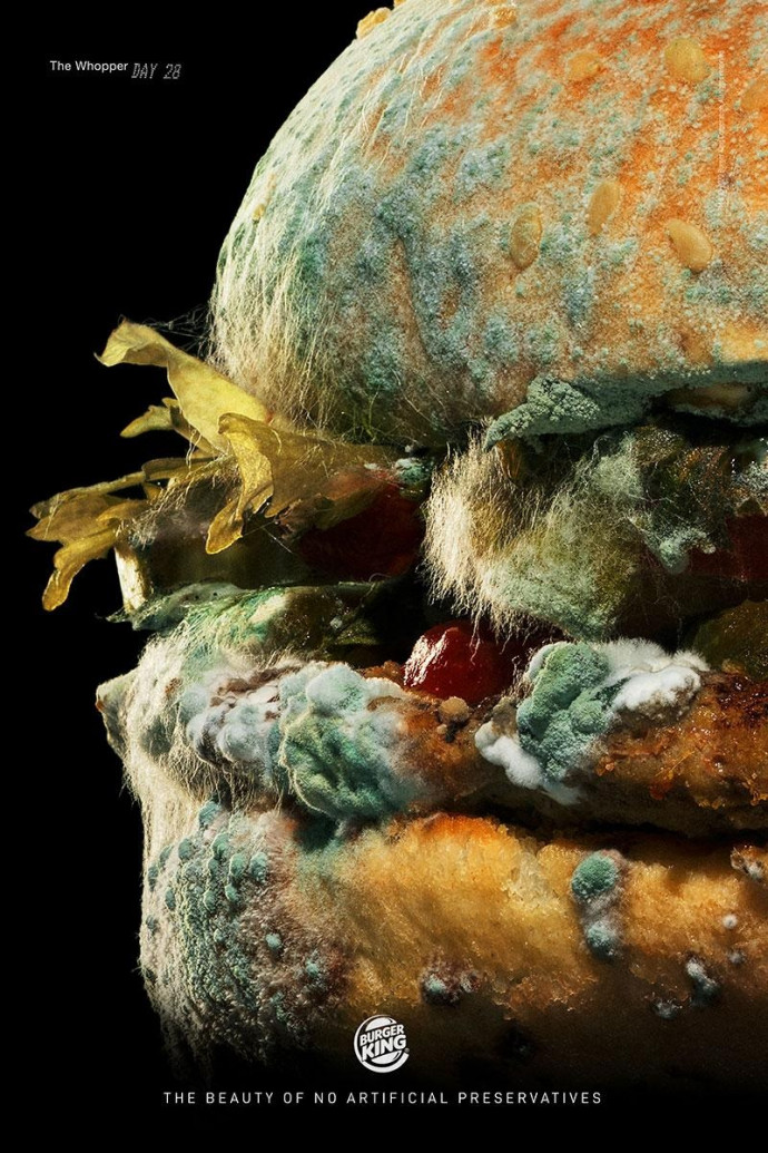 Burger King: The Moldy Whopper, Day 28