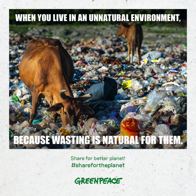Greenpeace: Share For Better Planet, 3