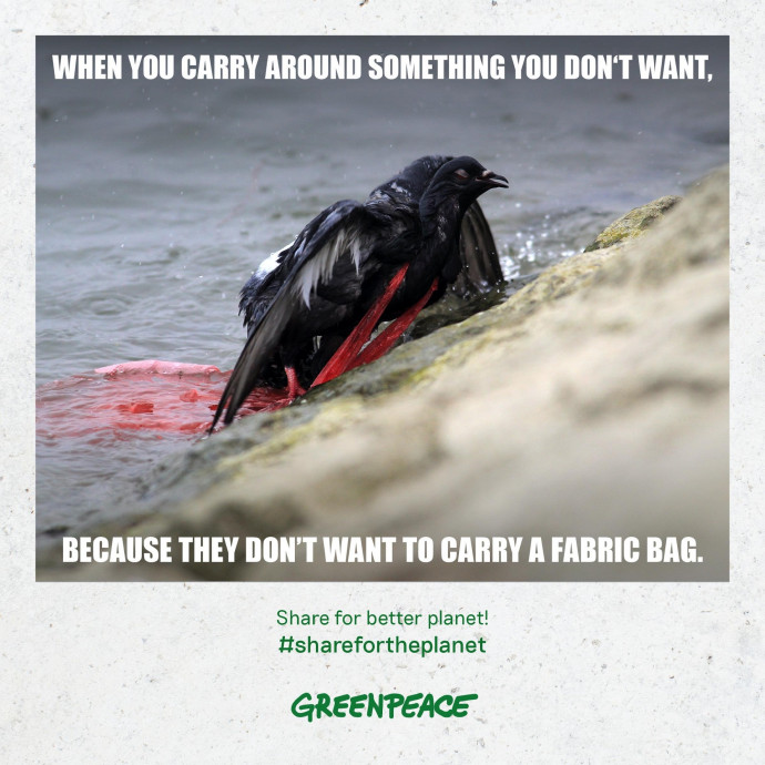 Greenpeace: Share For Better Planet, 4