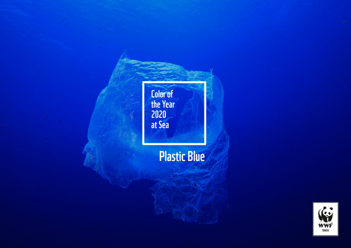 WWF: Plastic Blue, 3