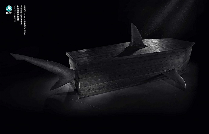 IFAW: Shark