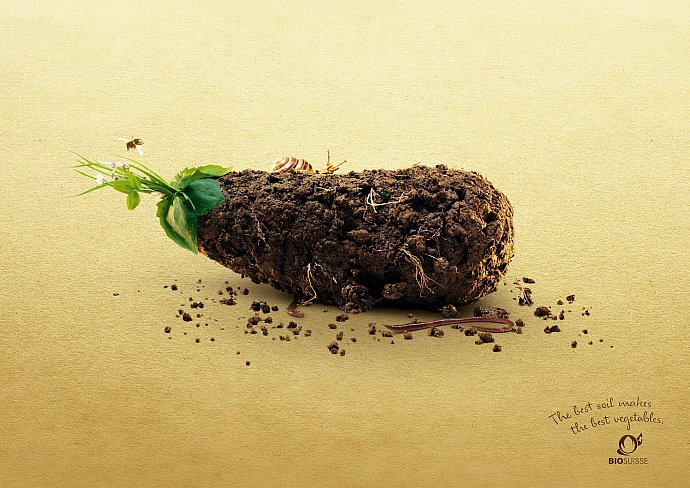 Bio Suisse: Eggplant