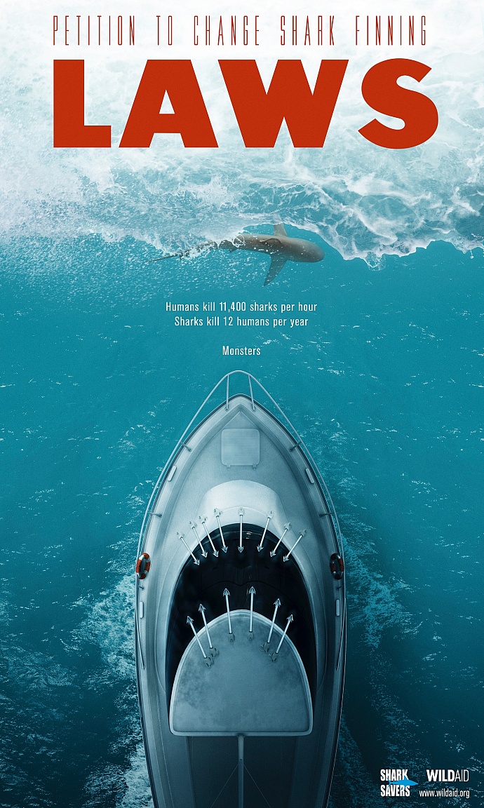 Wild Aid: Shark Finning Laws