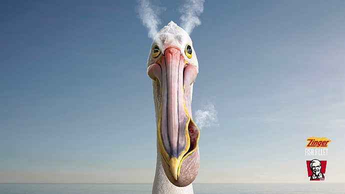 KFC: Pelican