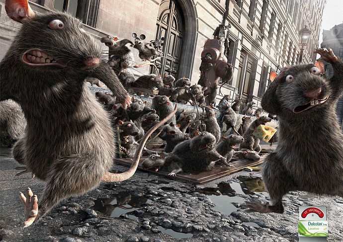 Dulcolax: Rats