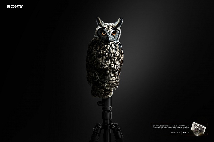 Sony: Owl