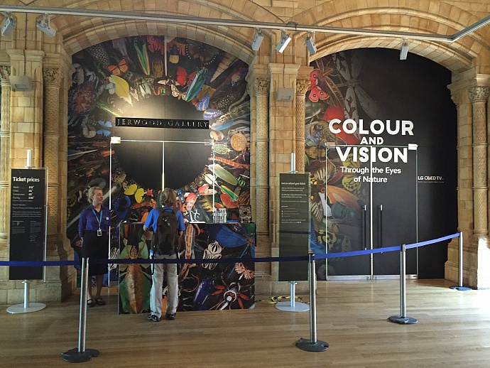 Natural History Museum: Colour and Vision, 3