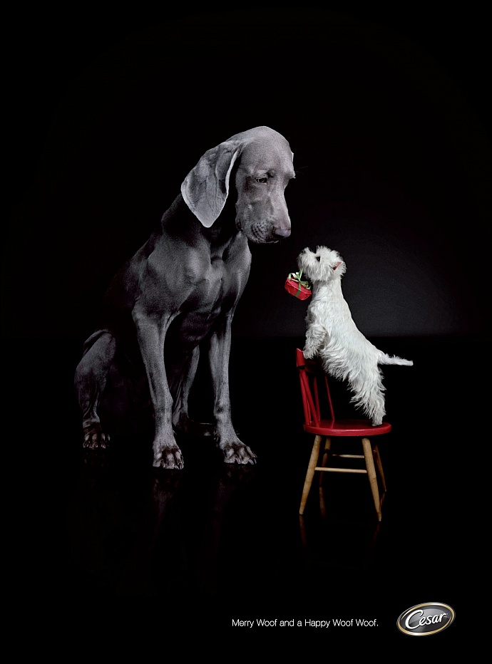 Cesar Dog Food: Merry Woof