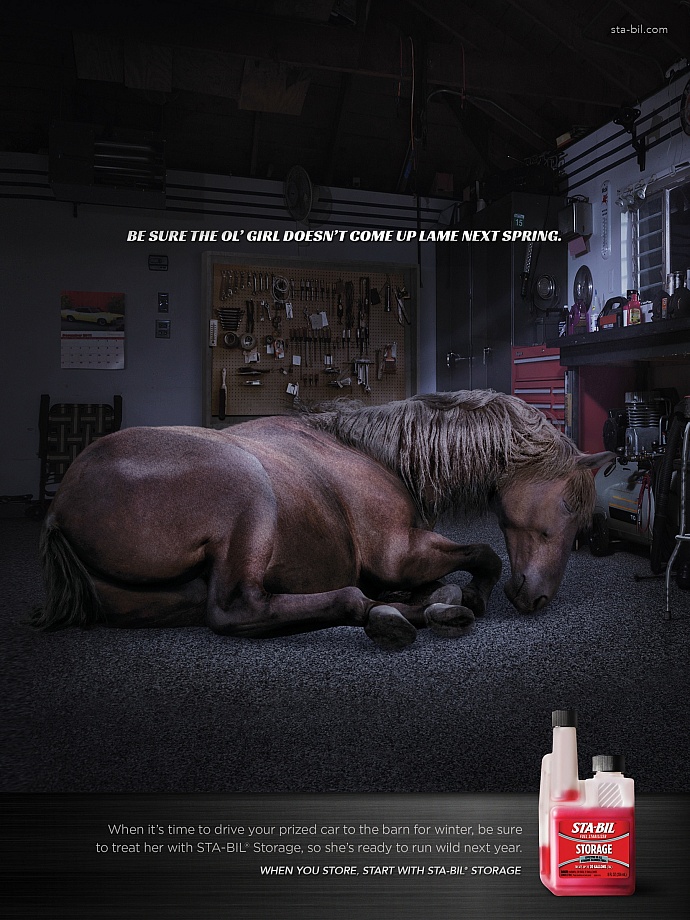 Sta-Bil Storage: Horse