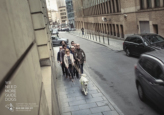 Belgian Centre for Guide Dogs: Street