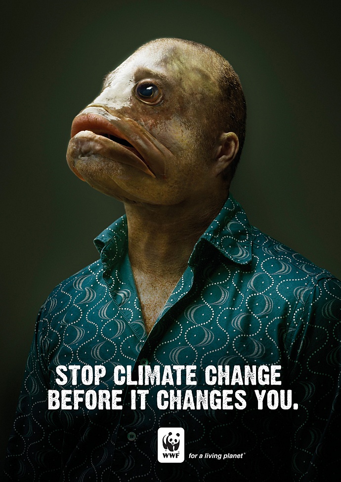 WWF: Fish