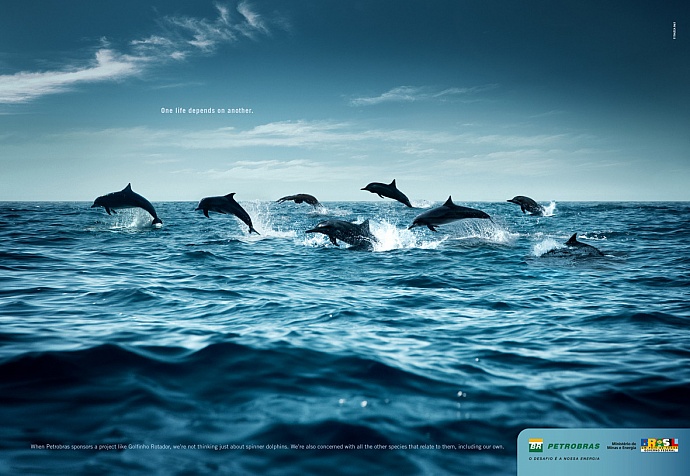 Petrobras: Dolphins