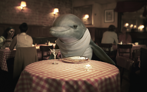 Hyped fintech Anyfin attacks loan sharks with new spokesdolphin