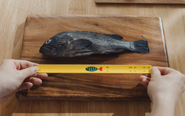 Ad of the Day | A new campaign by Cheil supports conservation of fishery resources