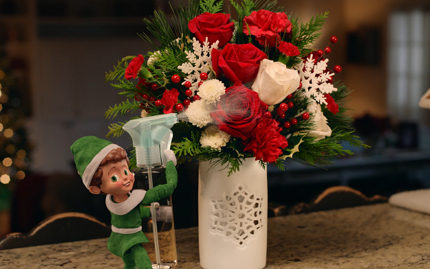 Teleflora Unwraps New Campaign, "The Elf," To Pay Tribute To Those Who Orchestrate Holiday Magic