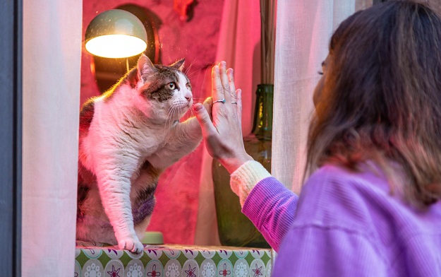 Animal Lovers are in for a Special Valentines Treat in a Serviceplan Belgium Campaign for Mopets