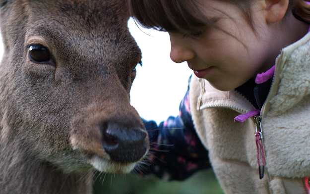 Touching Christmas Ad Sees a Young Girl Help an Injured Deer with Magical Consequences