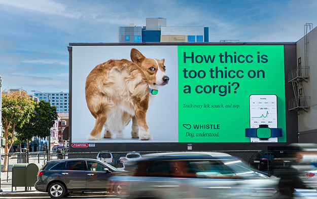 DCX Launches First Work For Whistle Health To Provide Preventive Care For Dogs