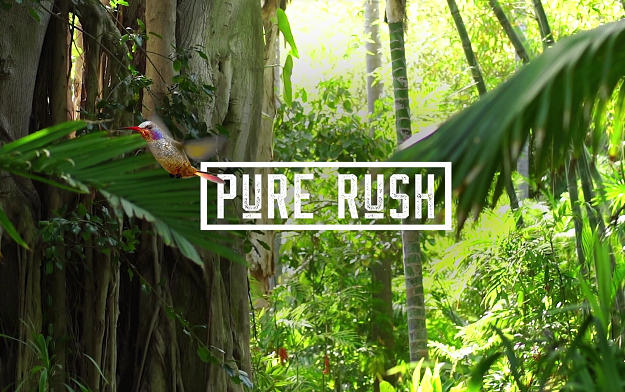 Pure Rush Soap, Taps Some Big Names to Launch New Irreverent Campaign