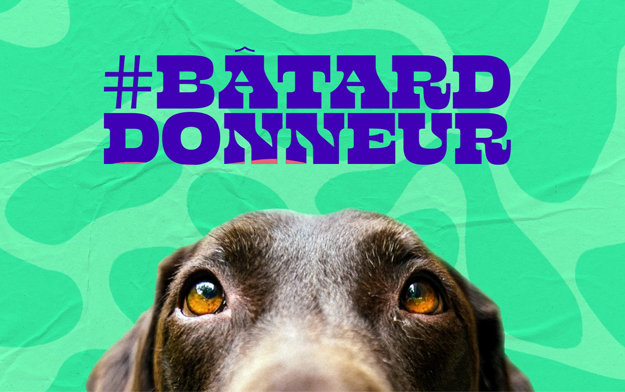 We Are Social Launches #BatardDonneur to Drive Dog Blood Donation with French Magazine Batard
