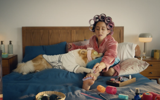 Wellness Pet Company Champions Wellbeing with New Brand Identity and National Campaign