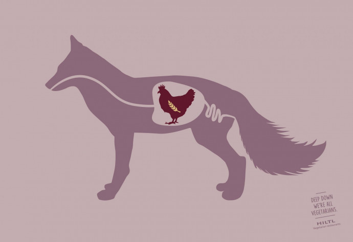 Hiltl: Fox