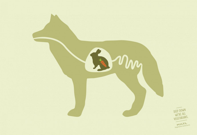 Hiltl: Wolf
