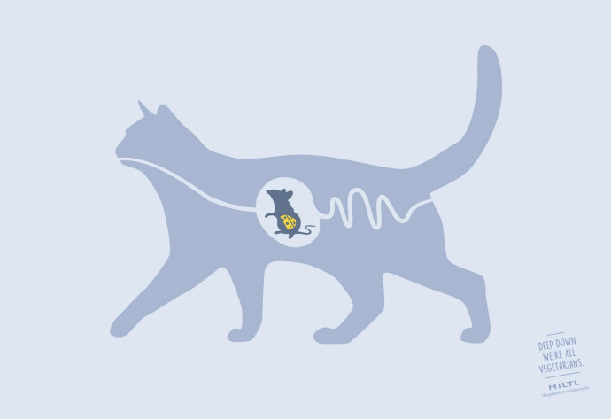 Hiltl: Cat