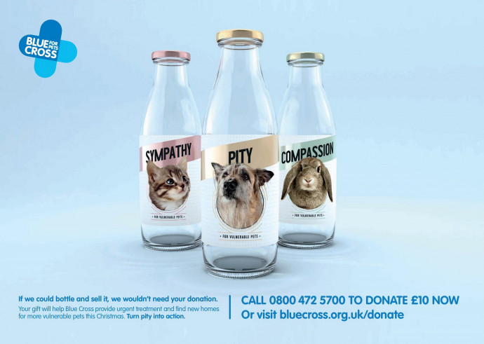 Blue Cross: Vulnerable Pets