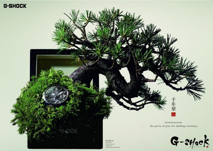G-Shock: Bonsai 1
