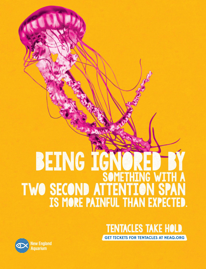 New England Aquarium: Tentacles take hold