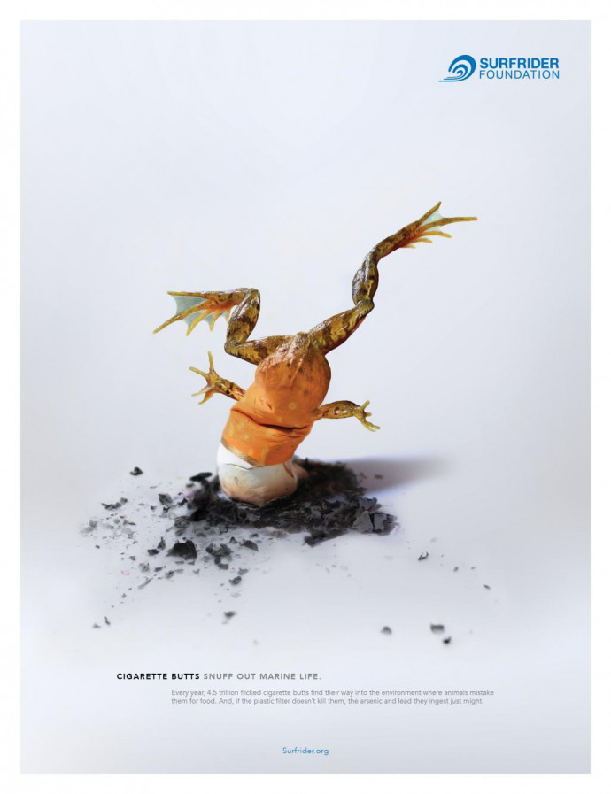 Surfrider Foundation: Frog