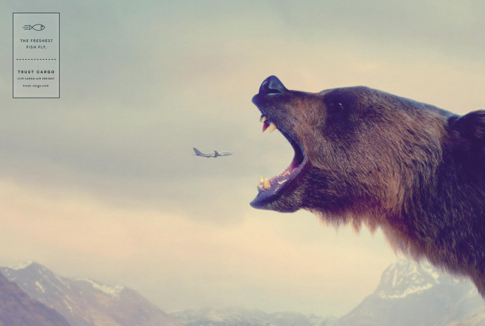 Trust Cargo International: Bear