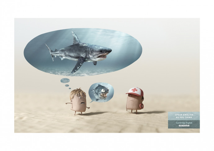 Acadomia: Cambridge English (Shark)