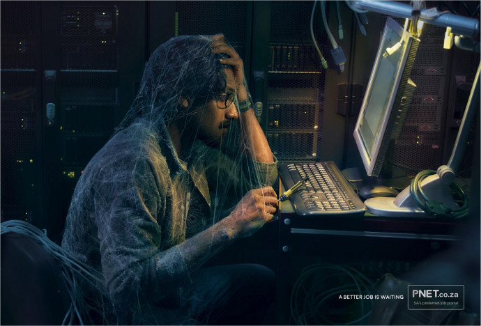 PNet: Webs