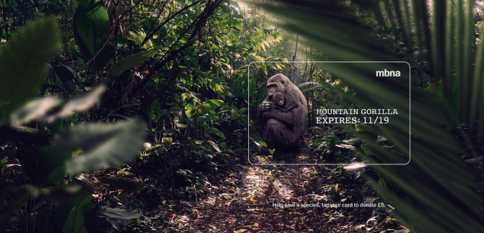 MBNA: Expires - Gorilla