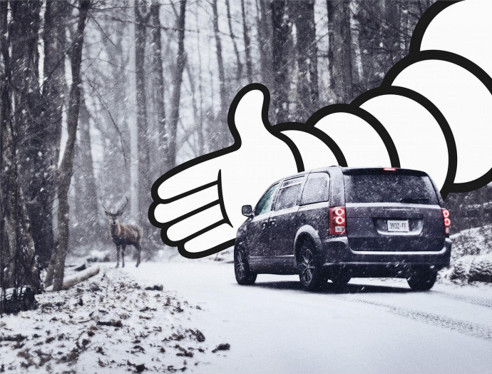Michelin: Michelin Safety - Snowy Deer