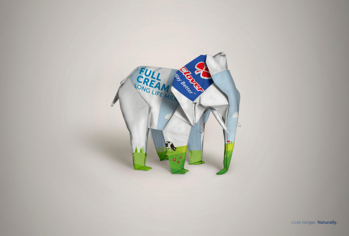 Clover: Elephant
