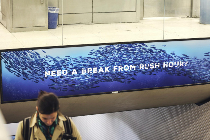 Monterey Bay Aquarium: Share the Love&mdash;BART Station Domination, 5