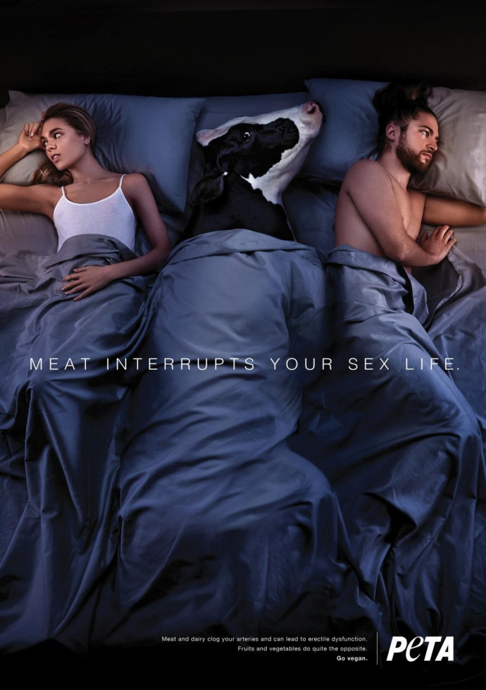 PETA: Cow