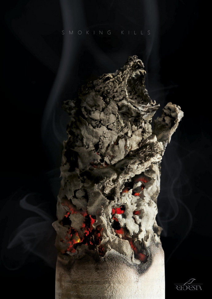 Reforesta: Bear