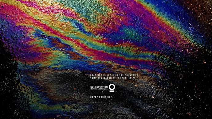 Conservation International: Happy Pride Day, 1