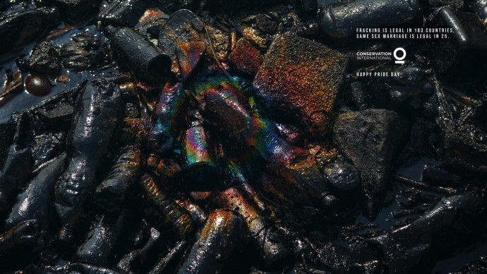 Conservation International: Happy Pride Day, 2