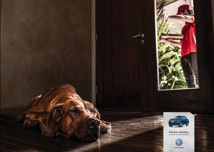 Volkswagen: Reactions, 1