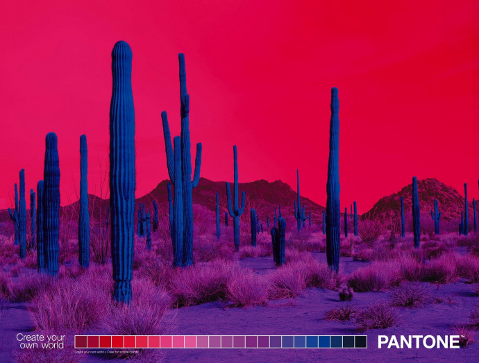 Pantone: Create Your World, 1