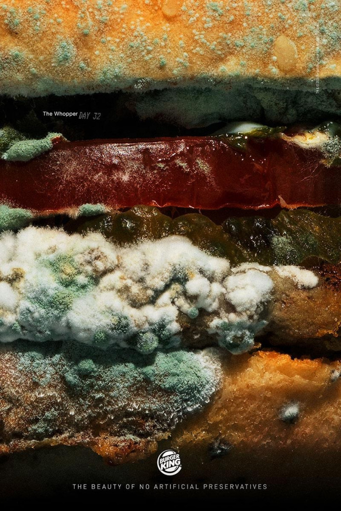 Burger King: The Moldy Whopper, Day 32